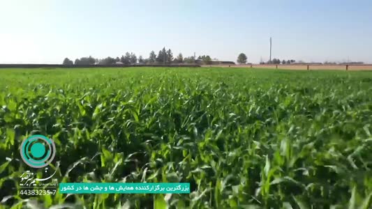 مستند معرفی مجتمع کشت و صنعت اشراق